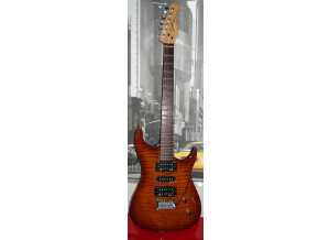 Godin Freeway Classic (33448)