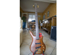 Warwick Thumb Bass