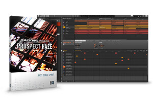 native instruments prospect haze 231878