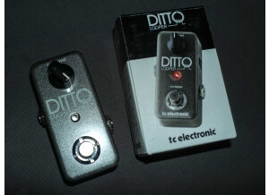 TC Electronic Ditto Looper (28608)