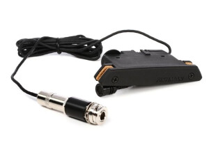 fishman rare earth 2302667