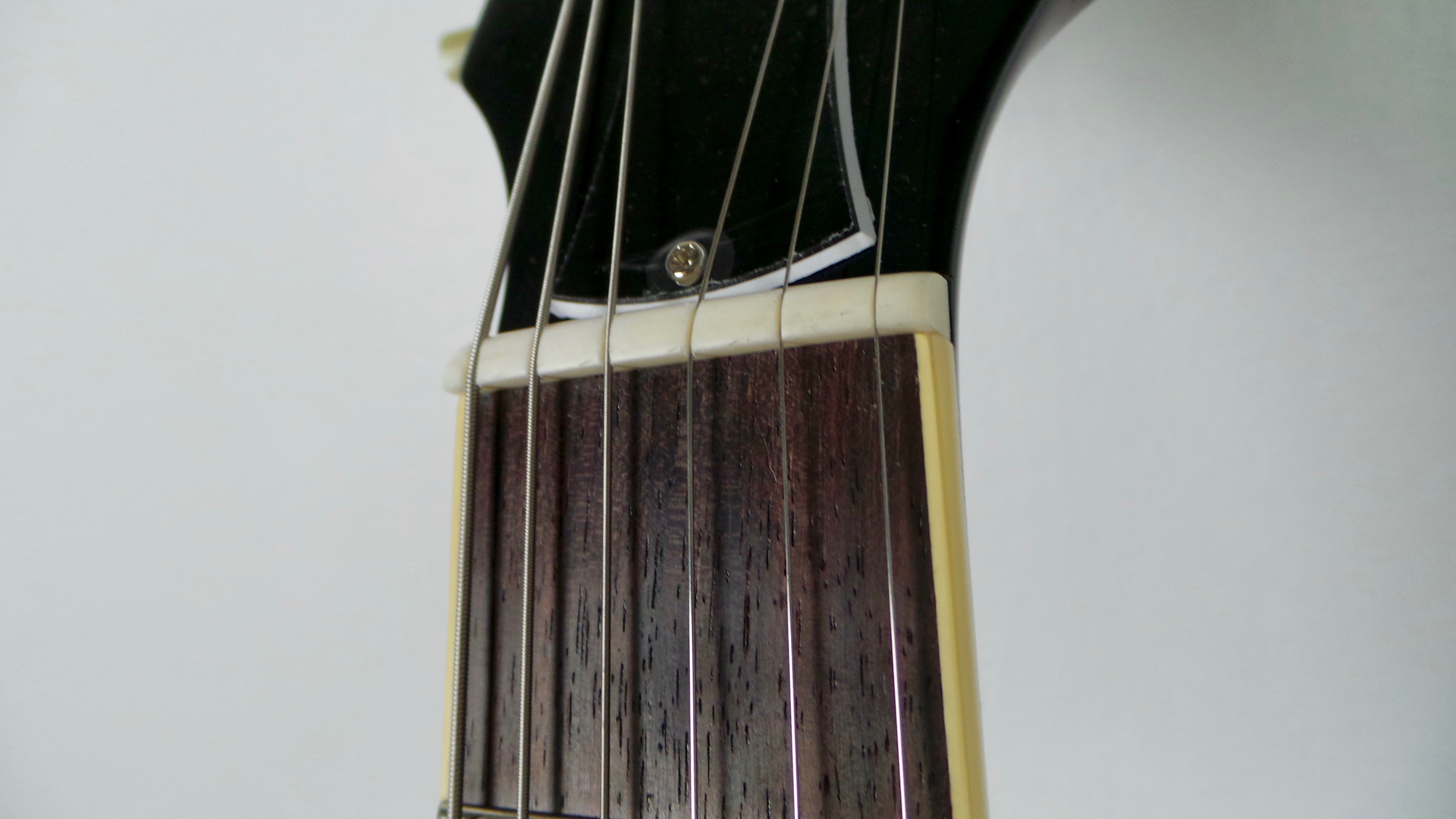 Bacchus BLS 2018 Handcraft : 17