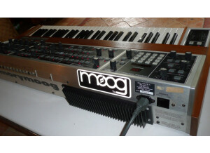 Moog Music MemoryMoog (3882)