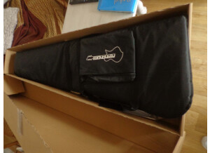 Fernandes Vertigo Deluxe (84875)