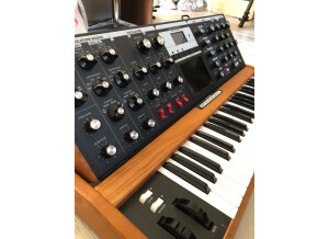 Moog Music Minimoog Voyager Performer Edition (40629)