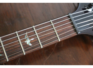 PRS Custom 22 Birds Top-10 (27335)