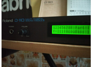 Roland D-110 (76594)