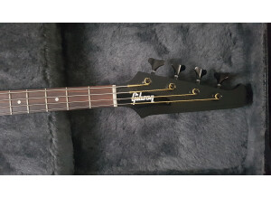 Gibson Thunderbird Short Scale Bass - Satin Ebony (85973)