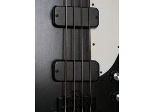 Gibson Thunderbird Short Scale Bass - Satin Ebony (72221)