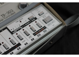 Roland TB-303 (96531)