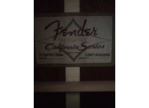 fender kingman acoustic 2275518