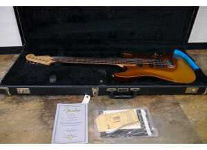 Fender Princeton 65 (61250)