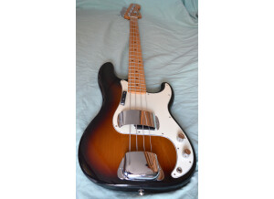 Fender Standard Precision Bass [2009-Current] (91003)