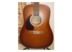 Art & Lutherie Cedar Antique Burst Left (35960)