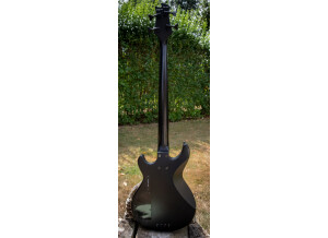 B.C. Rich Platinum Warlock Bass tete Widow (22954)