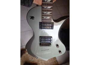 Fernandes Ravelle X DGM (37717)