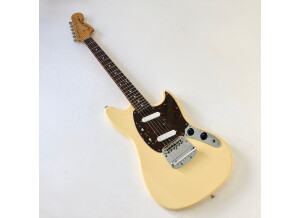 Fender MG69-65 (34003)