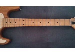 belle peavey t 2308647