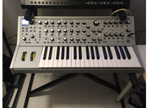 Moog Music Subsequent 37 CV (33952)