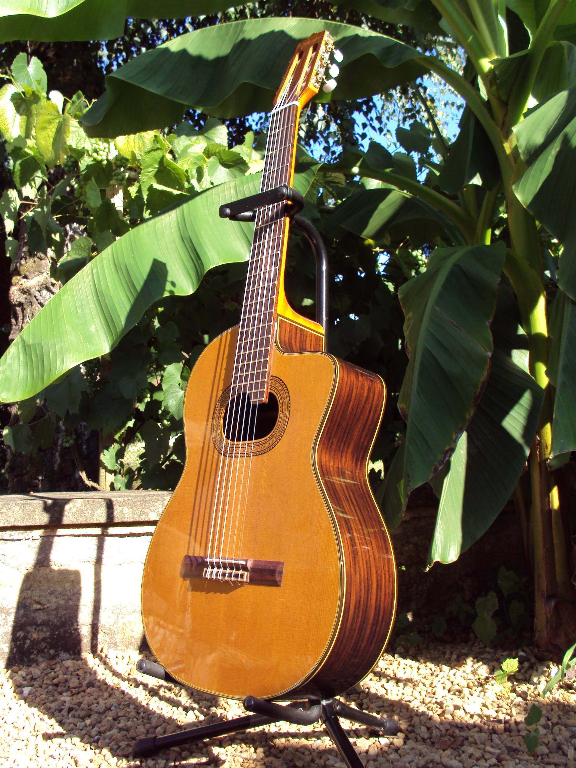 Takamine E50