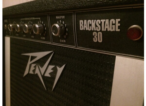 Peavey Backstage 30