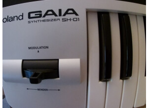 Roland GAIA SH-01 (85876)