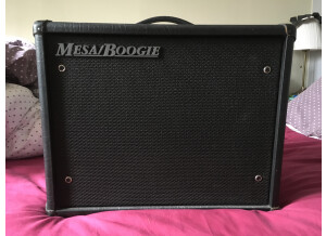 Mesa Boogie EV 200W (50517)