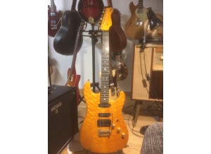 Valley Arts Guitars Custom Pro (41159)