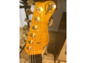 Valley Arts Guitars Custom Pro (96364)