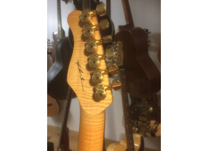 Valley Arts Guitars Custom Pro (22793)