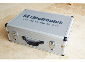 sE Electronics Gemini (2888)