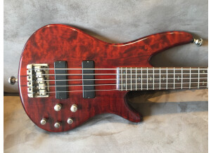 Ibanez SR905 (22318)