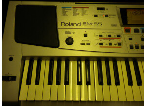 Roland EM-55 (90877)