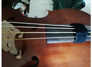 Ampeg SVP-Pro (94957)