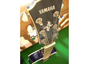Yamaha APX 700