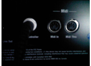 Marshall JMD:1 50W Head