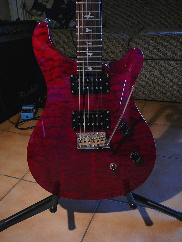 PRS SE Custom 24 (2009)