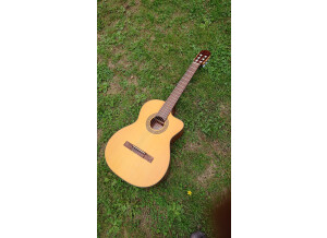 Takamine EG124C