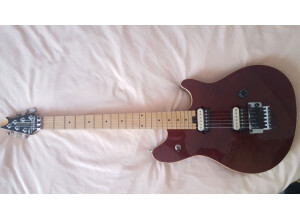 Peavey Wolfgang Special (41531)