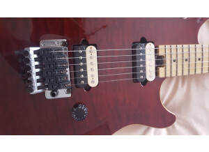 Peavey Wolfgang Special (82976)