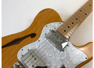 Fender Telecaster Thinline Japan (36340)
