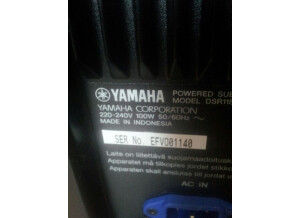 Yamaha DSR118w (2242)