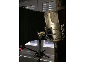 Lauten Audio Oceanus LT-381 (63225)