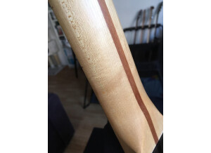 DiMarzio DP416 Area '61 (83263)