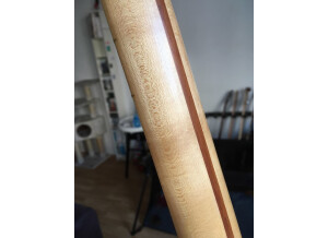 DiMarzio DP416 Area '61 (82128)