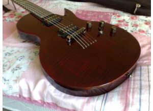 Chapman Guitars ML-2 (41071)
