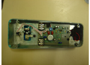 Real Mc Coy Custom Picture Wah