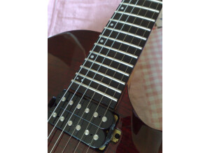 Chapman Guitars ML-2 (16966)