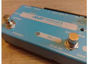 Amt Electronics Pangaea CP-100FX (69533)