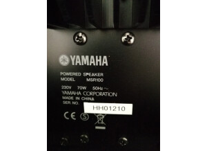 Yamaha MSR100 (88813)